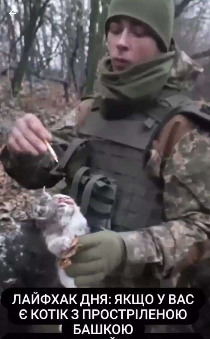 Жестокие видео в телеграмме с украины фото 109