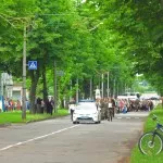 14096476447_01eac9b452_o