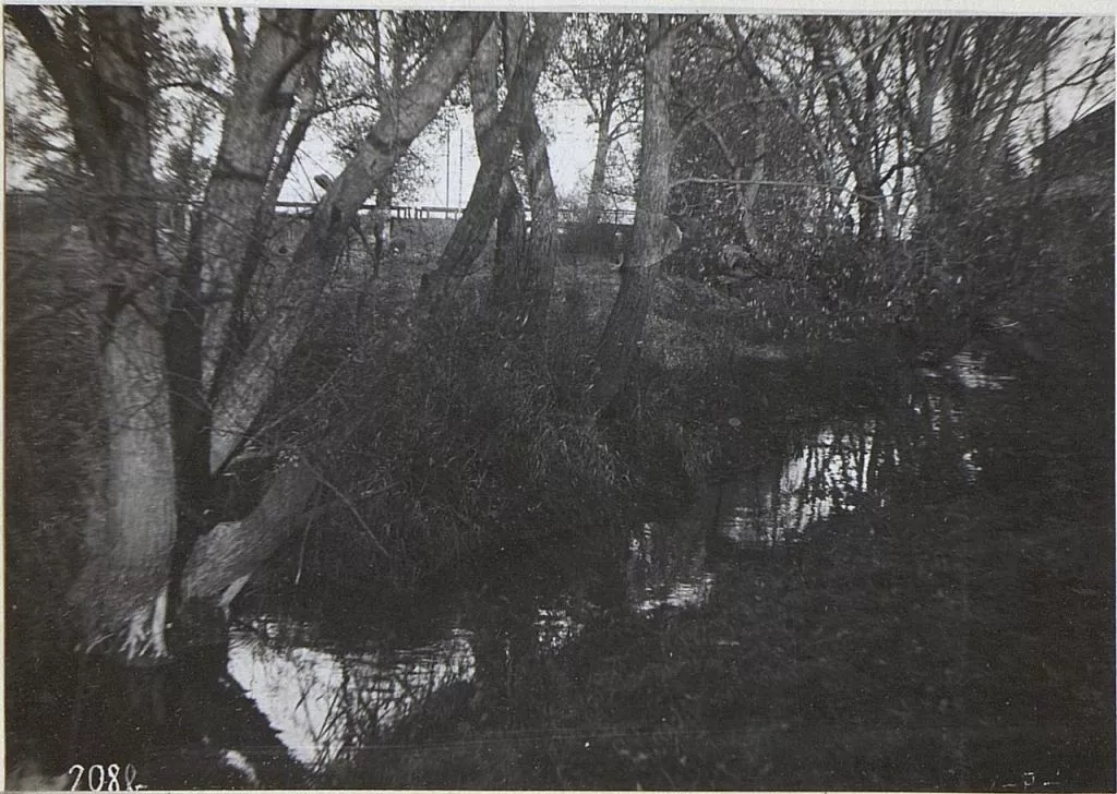 Володимир-Волинський початку ХХ століття у фотографіях 9 34130_3