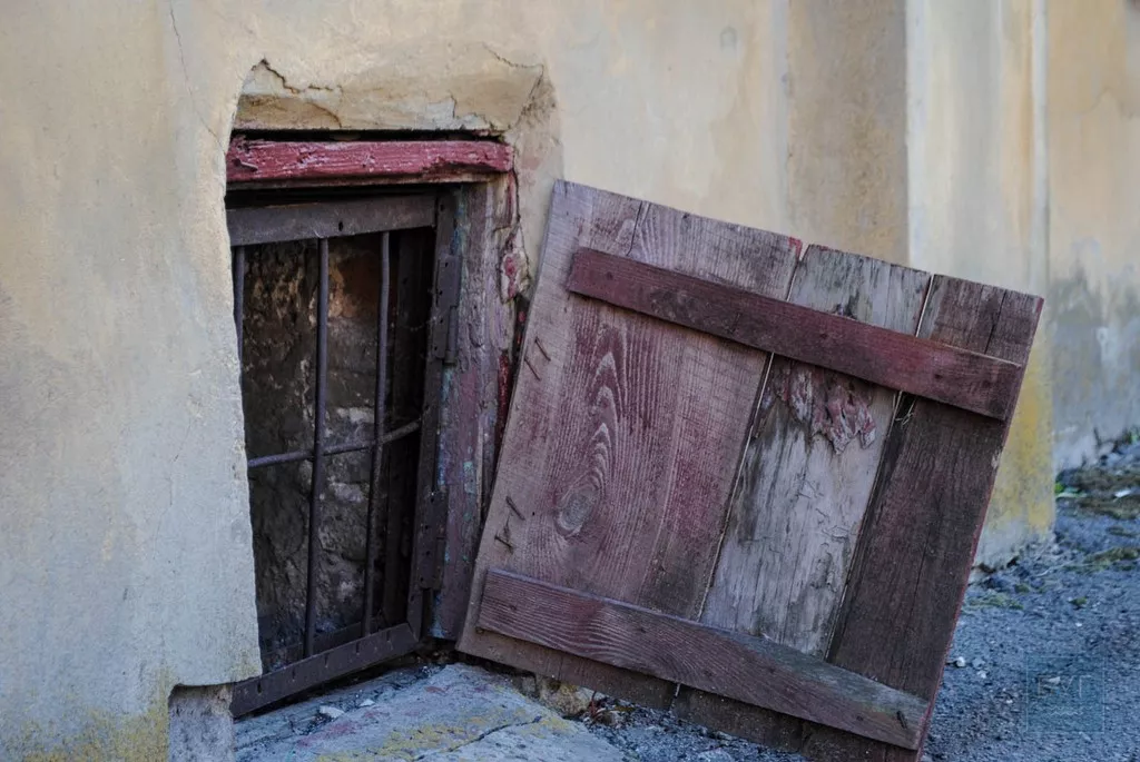Нікому не потрібні пам'ятки світового значення. Сімейна подорож у світ князів Радзивіллів 15 DSC_0207