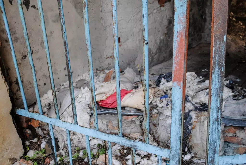 Нікому не потрібні пам'ятки світового значення. Сімейна подорож у світ князів Радзивіллів 27 DSC_0214