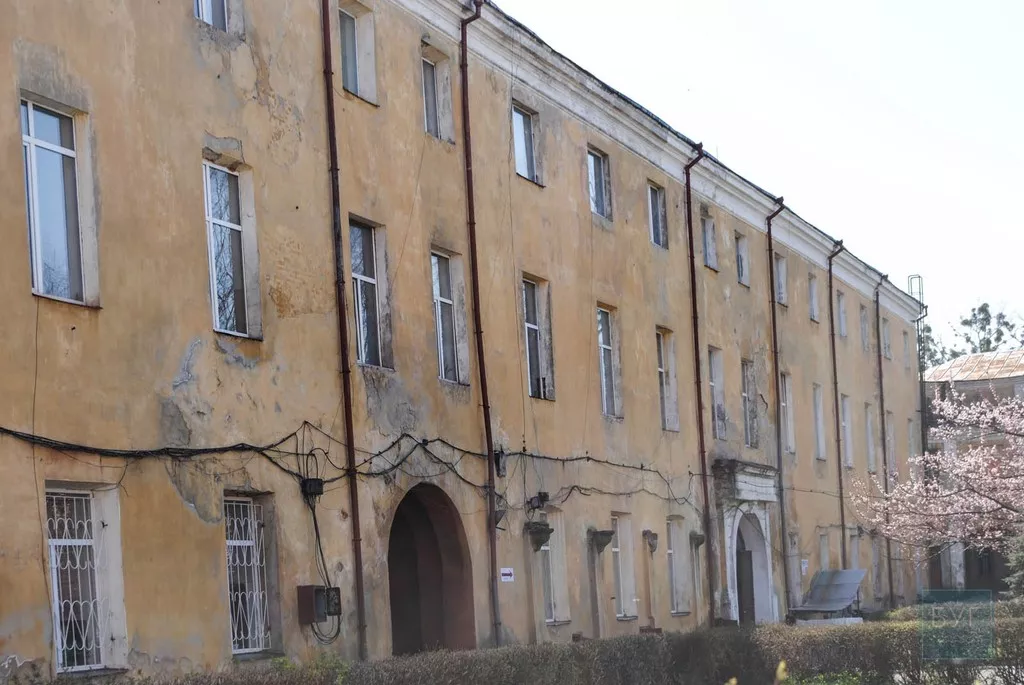 Нікому не потрібні пам'ятки світового значення. Сімейна подорож у світ князів Радзивіллів 19 DSC_0219