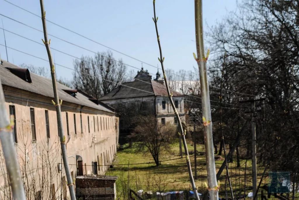 Нікому не потрібні пам'ятки світового значення. Сімейна подорож у світ князів Радзивіллів 24 DSC_0283