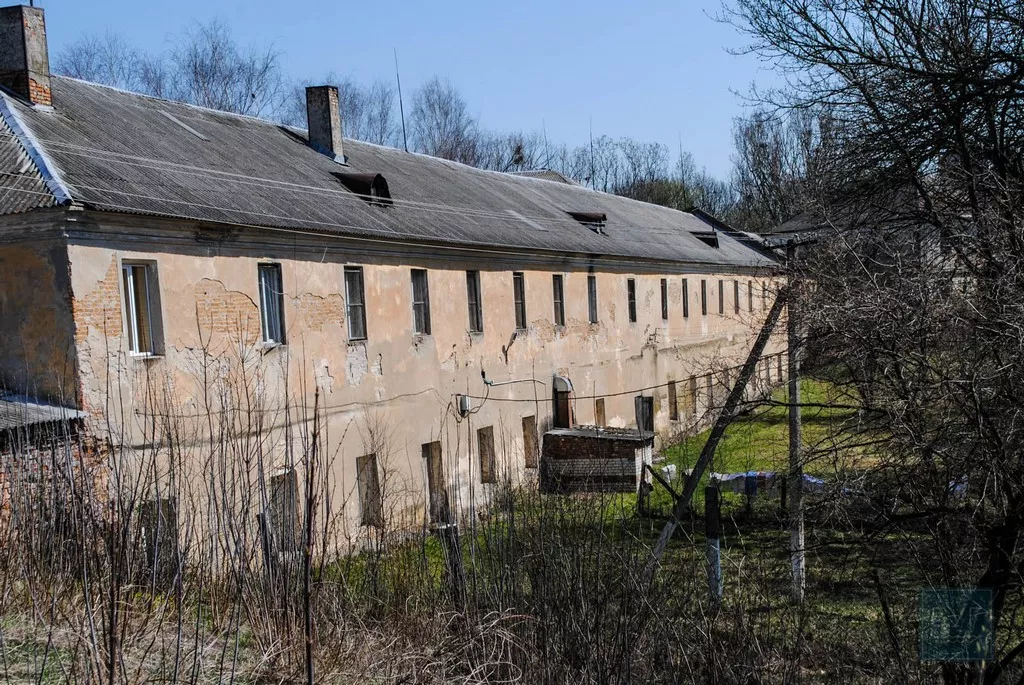 Нікому не потрібні пам'ятки світового значення. Сімейна подорож у світ князів Радзивіллів 39 DSC_0293