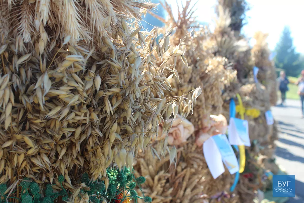 Українські давні весільні обряди відтворили у Володимирі-Волинському 12