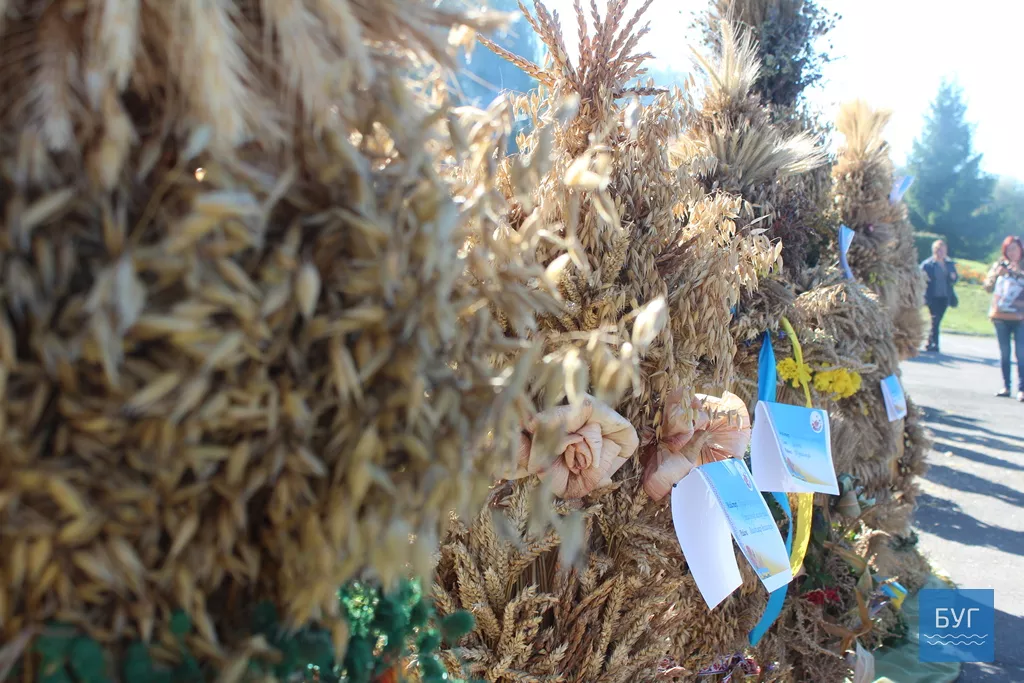 Українські давні весільні обряди відтворили у Володимирі-Волинському 11