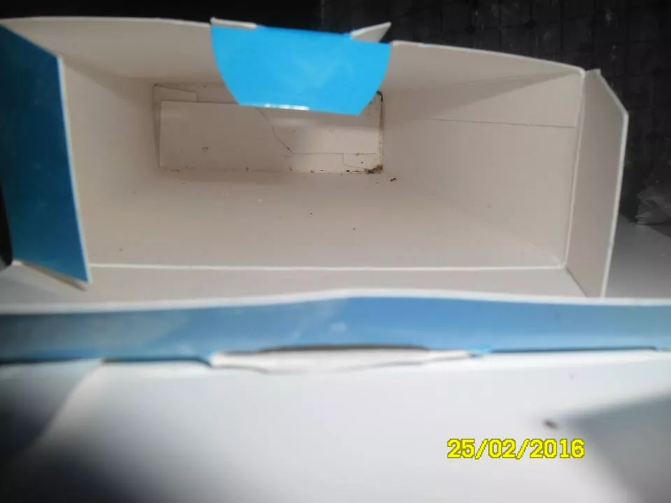 12743699_1554737111520026_711620305633566967_n