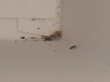 12744154_1554737121520025_5001783826969121840_n