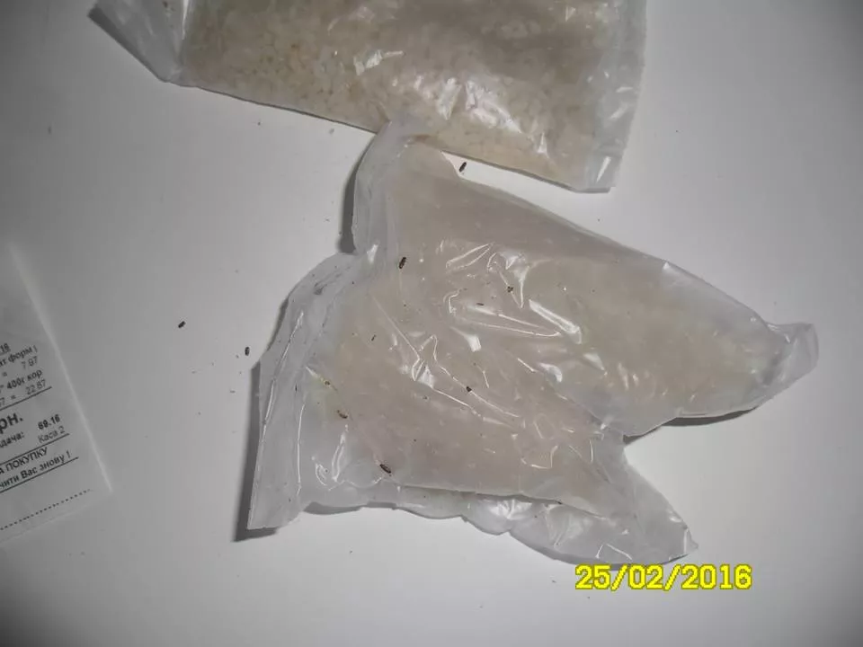 12745574_1554737021520035_7870079287170635767_n