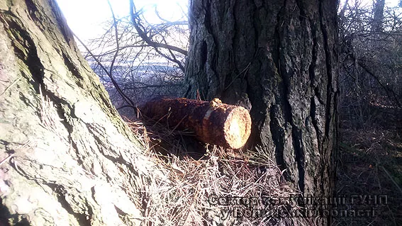 Правоохоронці виявили снаряд часів Другої світової війни в Іваничівському районі 4 PM372image001