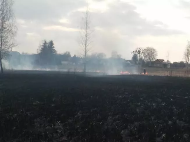 Рятувальники ліквідували пожежу сухої трави у Слов’янському парку міста Володимира-Волинського 3 2214cc43-fb60-4264-b2e7-5e44b46f0c34