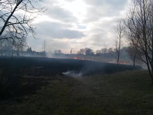 Рятувальники ліквідували пожежу сухої трави у Слов’янському парку міста Володимира-Волинського 5 30386b6f-a1e6-4776-b19b-cf9f3ace528b