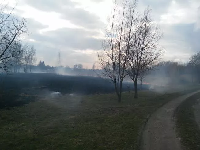 Рятувальники ліквідували пожежу сухої трави у Слов’янському парку міста Володимира-Волинського 6 9e159ea5-1e4f-452e-8877-528a706f2c11