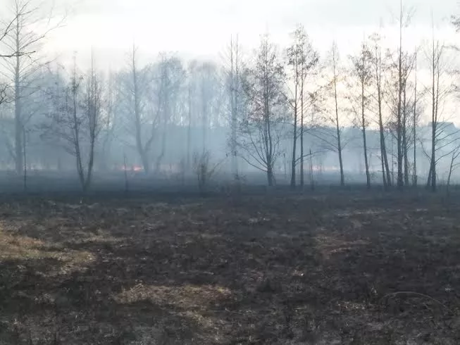 Рятувальники ліквідували пожежу сухої трави у Слов’янському парку міста Володимира-Волинського 2 cd1b1216-0c12-4add-b088-3144edea9dd4