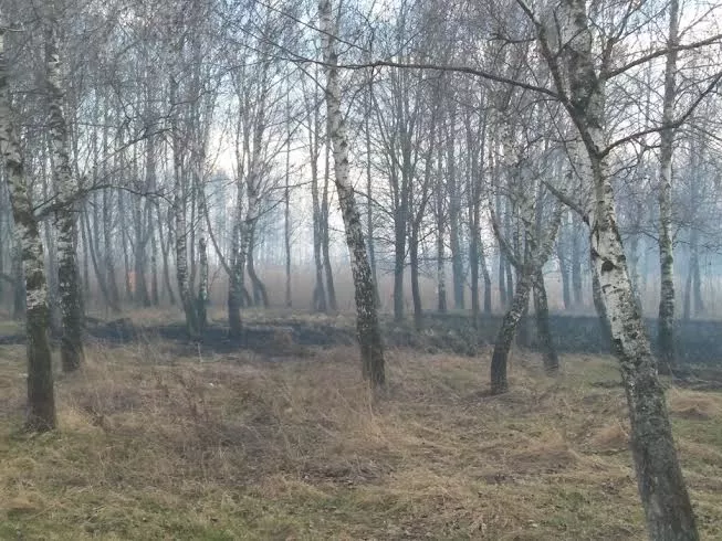 Рятувальники ліквідували пожежу сухої трави у Слов’янському парку міста Володимира-Волинського 4 ce2074d0-b766-4fda-9098-0ff867a7cc14