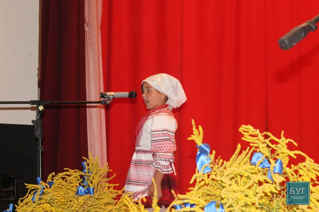 Звітний концерт аматорських колективів в селі Гряди Іваничівського району 12 IMG_2631