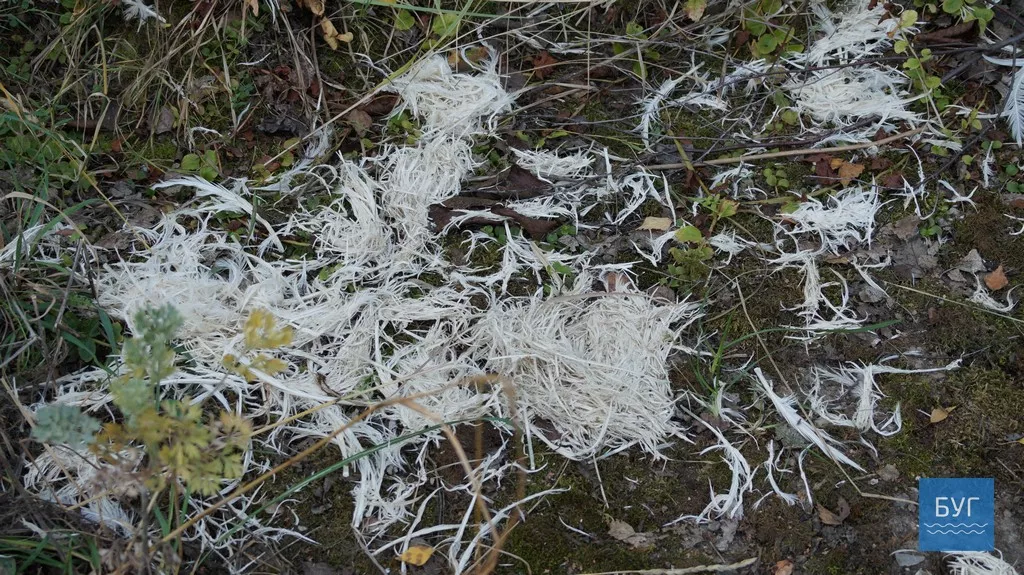 Підприємство "Екопротеїн" припинило діяльність у Нововолинську 2 dsc08513