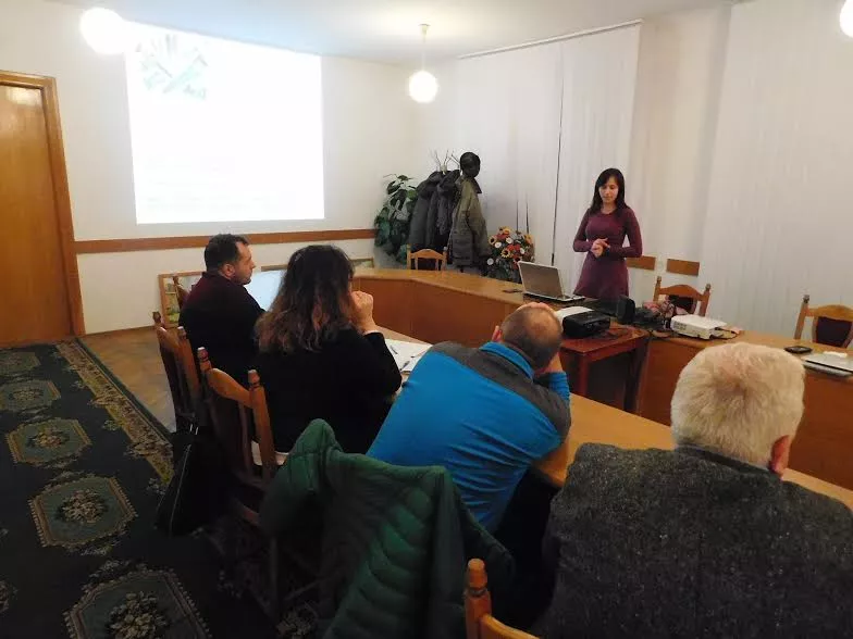 Володимир-Волинський готує проект Статуту міста 1