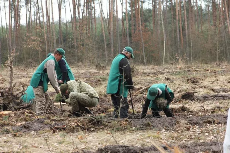 Володимир-волинські лісівники спільно з прикордонниками садили ліс 2