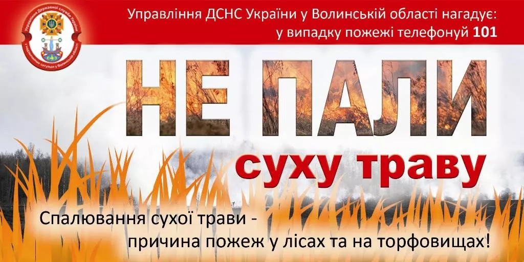 В селі Суходоли горіла суха трава 2