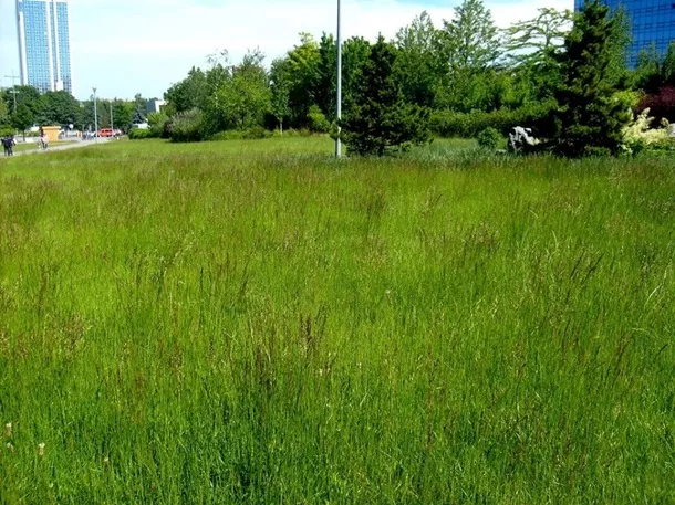 Журналіст показав стан Донбас Арени 2