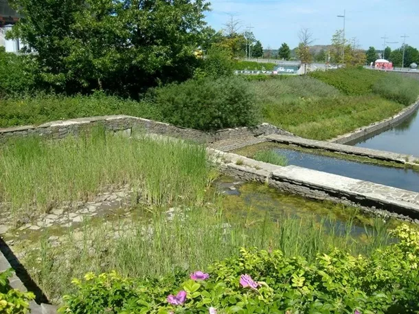 Журналіст показав стан Донбас Арени 3