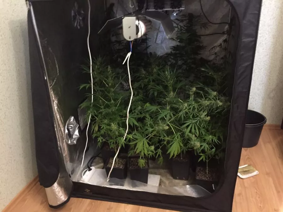 СБУшники перекрили канал поставок наркотиків з Європи, який пролягав через «Ягодин» 3