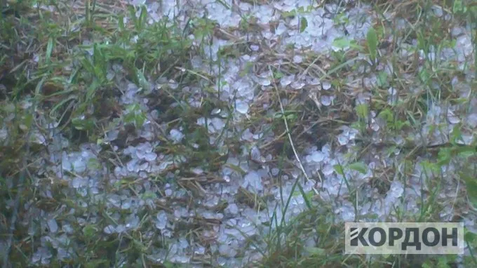 На Любомльщині “рекордний” град понищив посіви та городину 2