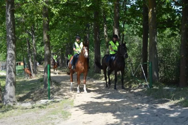 У шацьких лісах запровадили кінні патрулі 2