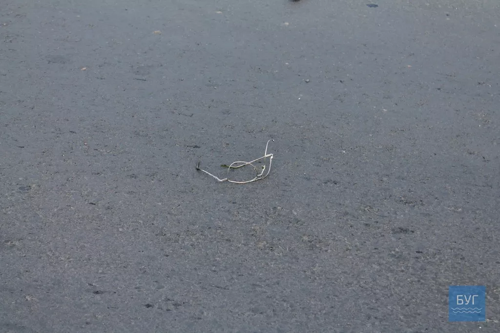 Смертельна ДТП у Нововолинську: бус збив мотоцикліста 8