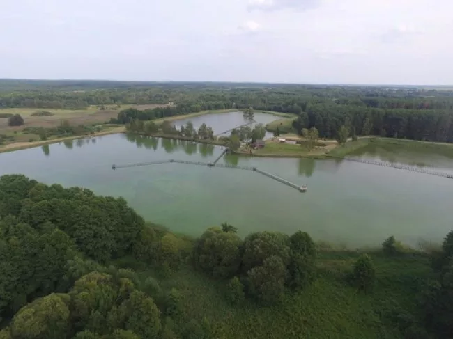 Любомльські ставки показали з висоти пташиного польоту 4