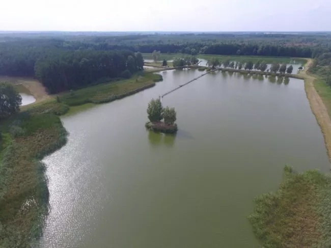 Любомльські ставки показали з висоти пташиного польоту 2