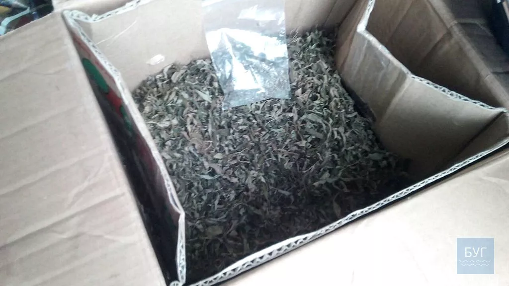 У жителя селище Благодатне поліцейські вилучили наркотики та зброю. Фото 3