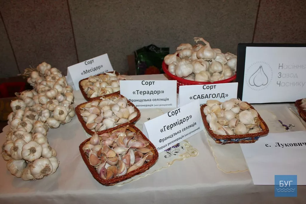 У Іваничах відбувся захід, присвячений Дню працівника сільського господарства 16