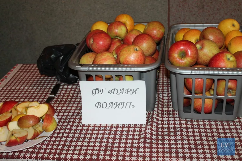 У Іваничах відбувся захід, присвячений Дню працівника сільського господарства 17