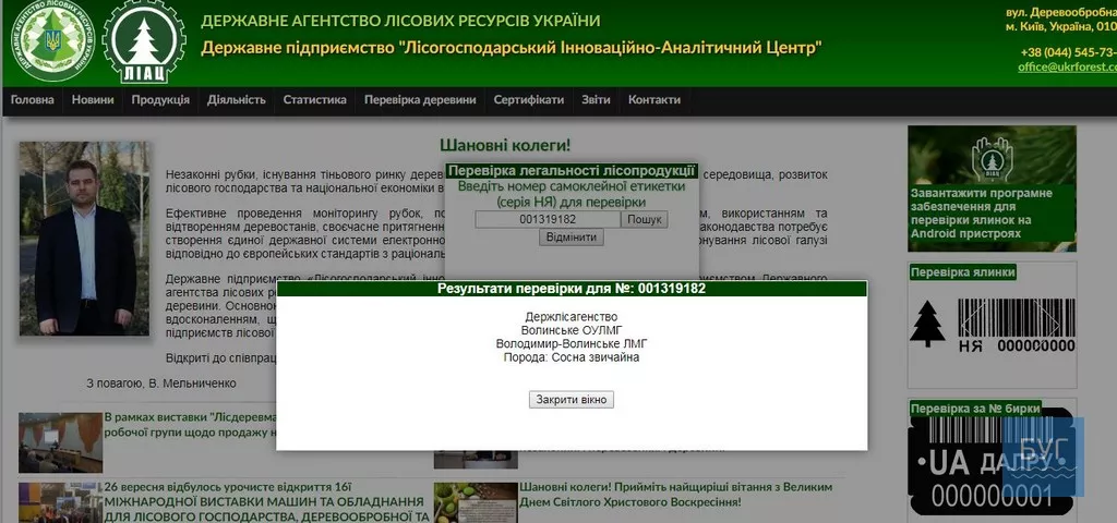 Новорічний бізнес у Володимирі-Волинському: а ваша святкова ялинка законна? 4