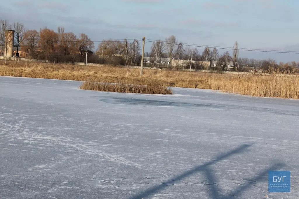 Іваничі: останні лебеді покинули Татарку 1