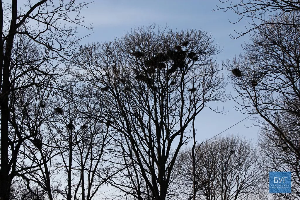 Священик із Володимира-Волинського закликає місцеву владу звернути увагу на стіну Монастиря капуцинів 1
