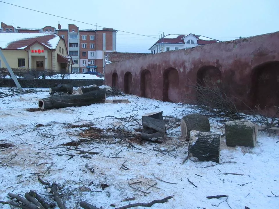 У Володимирі-Волинському відбулася "спецоперація" по порятунку кажанів 2