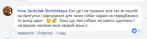 Громаду Нововолинська дуже турбує "проблема собак" або ж інші питання - організовуйте слухання 2