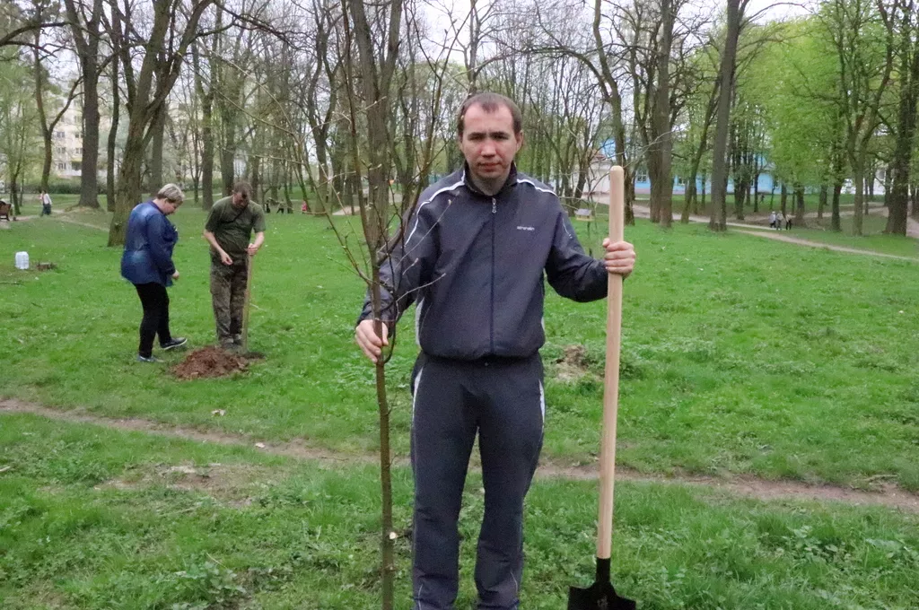 Кілька сотень дерев висадили у Володимирі-Волинському 30