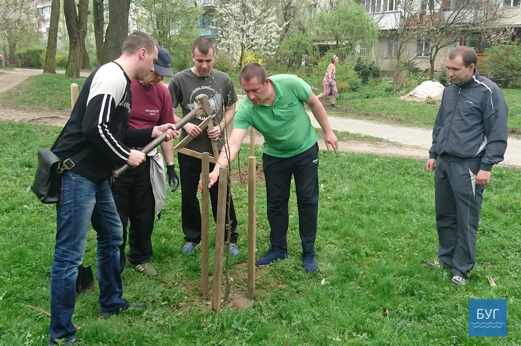 Кілька сотень дерев висадили у Володимирі-Волинському 8