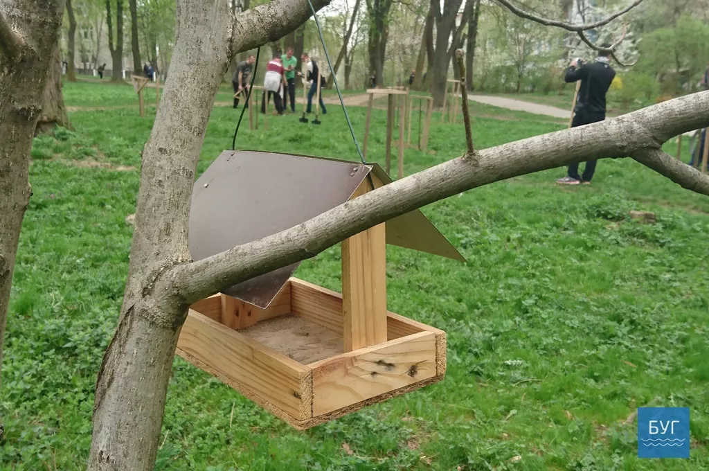 Кілька сотень дерев висадили у Володимирі-Волинському 11