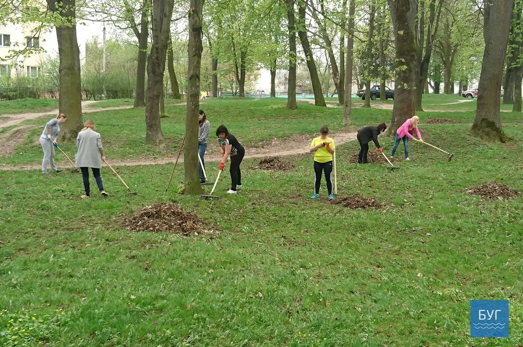 Кілька сотень дерев висадили у Володимирі-Волинському 12