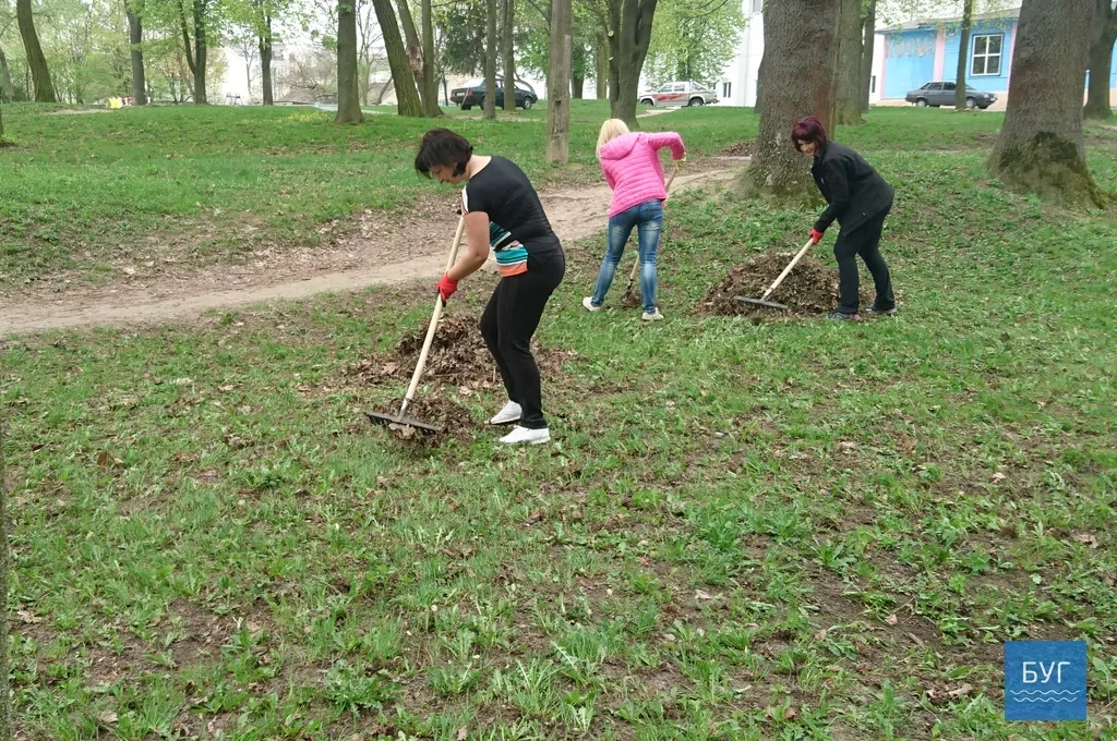 Кілька сотень дерев висадили у Володимирі-Волинському 13