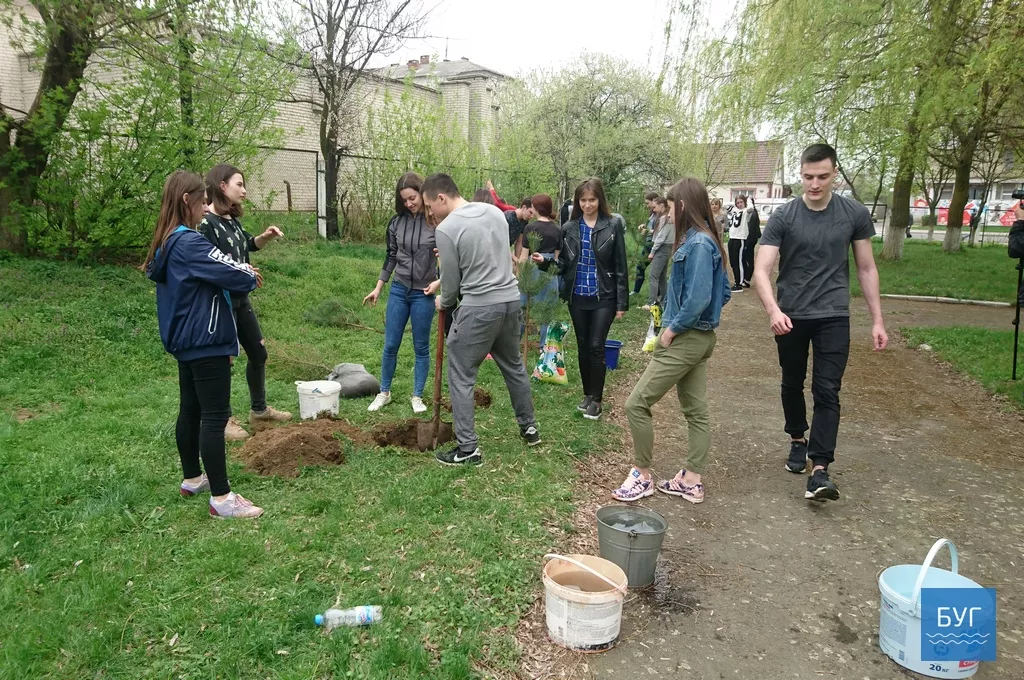 Кілька сотень дерев висадили у Володимирі-Волинському 2