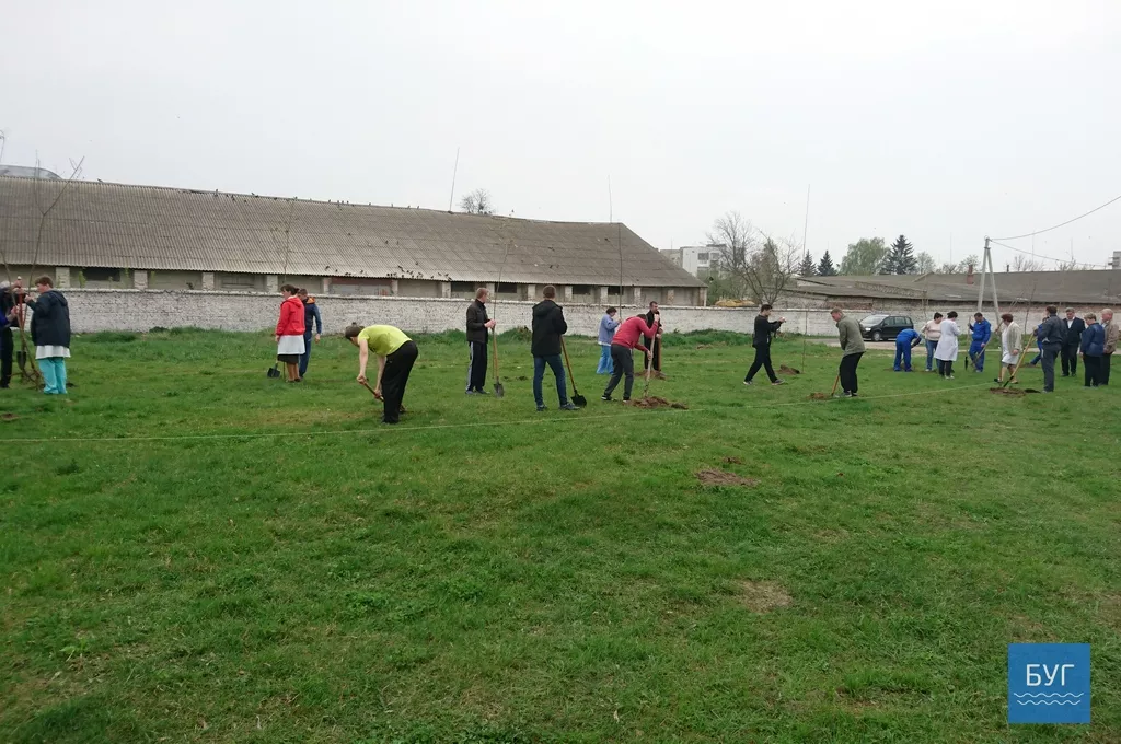 Кілька сотень дерев висадили у Володимирі-Волинському 16