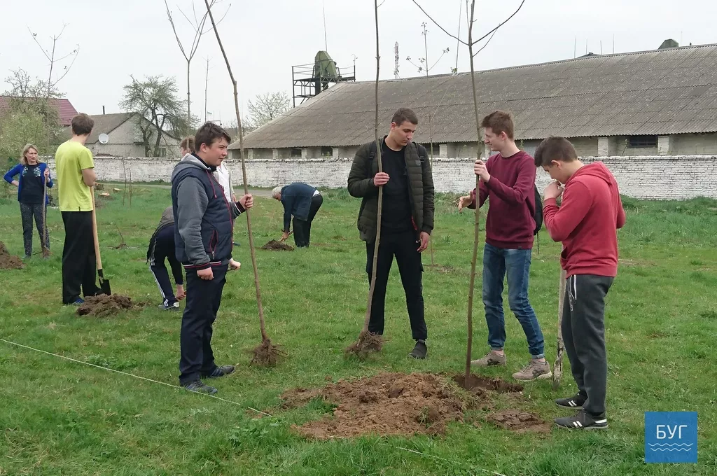 Кілька сотень дерев висадили у Володимирі-Волинському 17