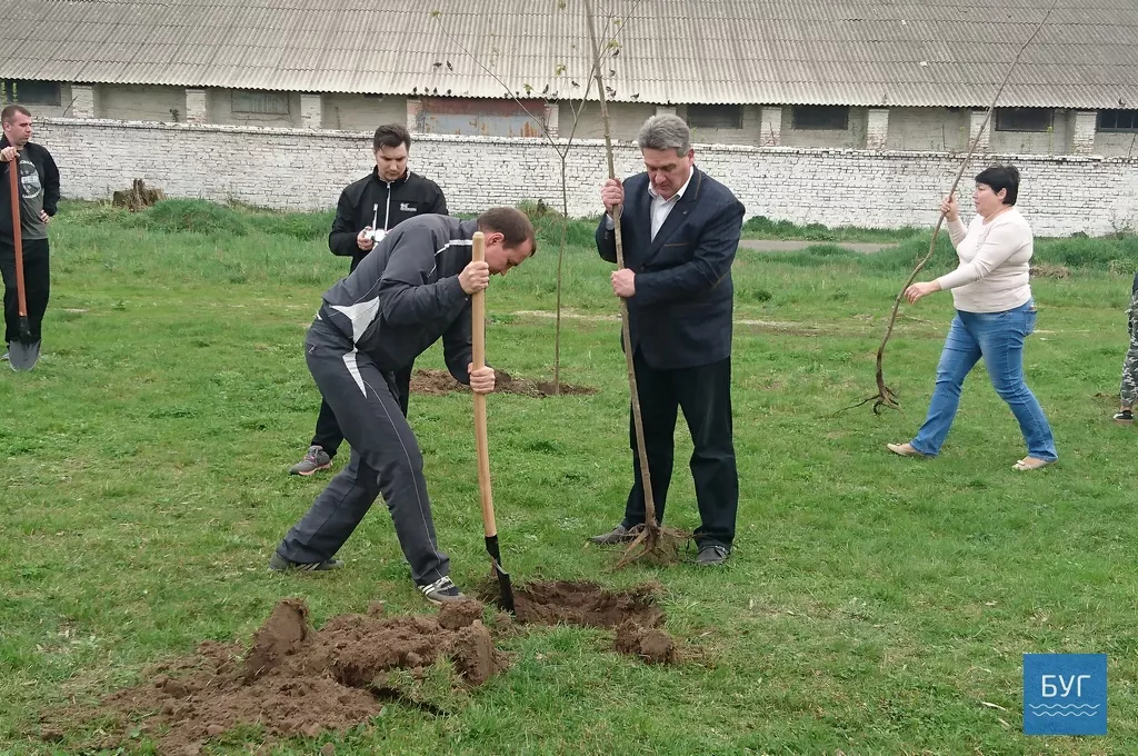 Кілька сотень дерев висадили у Володимирі-Волинському 18
