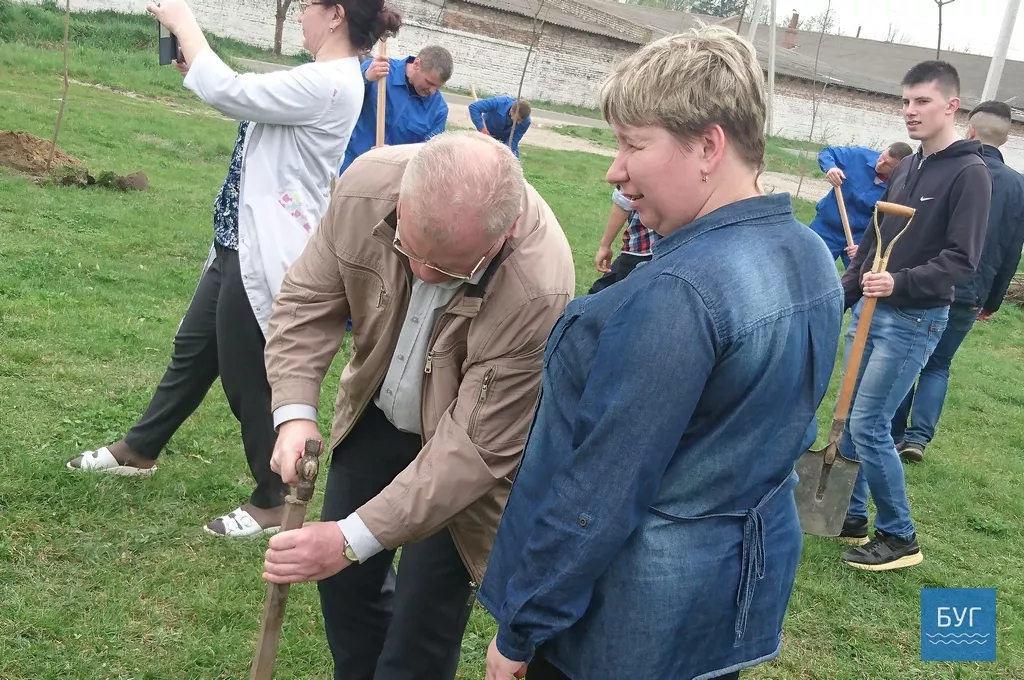 Кілька сотень дерев висадили у Володимирі-Волинському 19